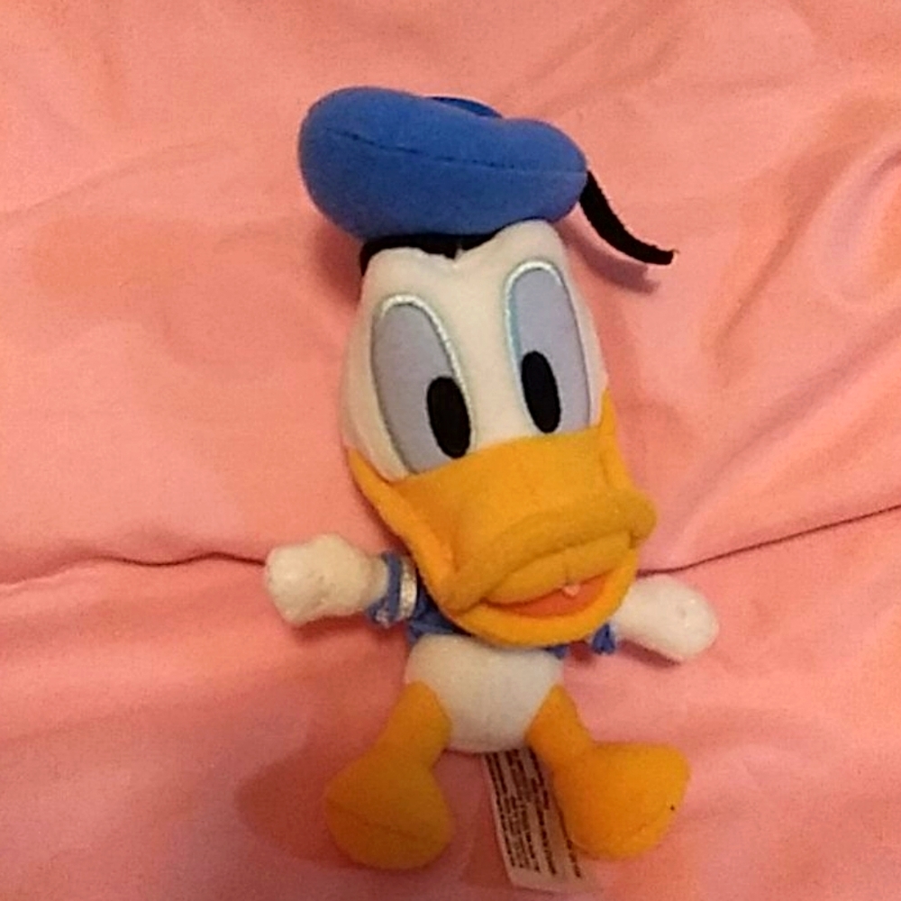 Donald duck keychain